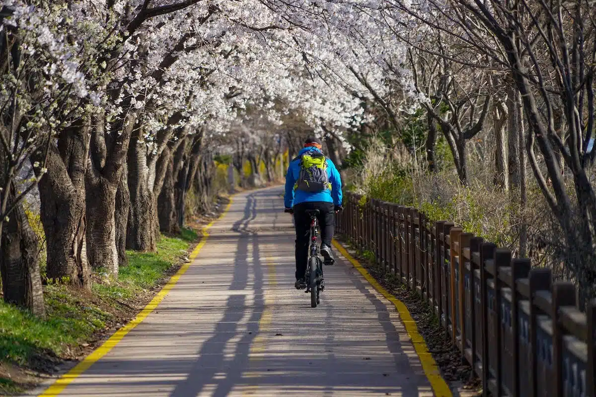 vélo  écologie