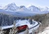 un train traversant une forêt enneigée